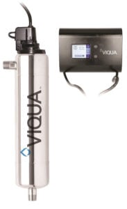 D4-V