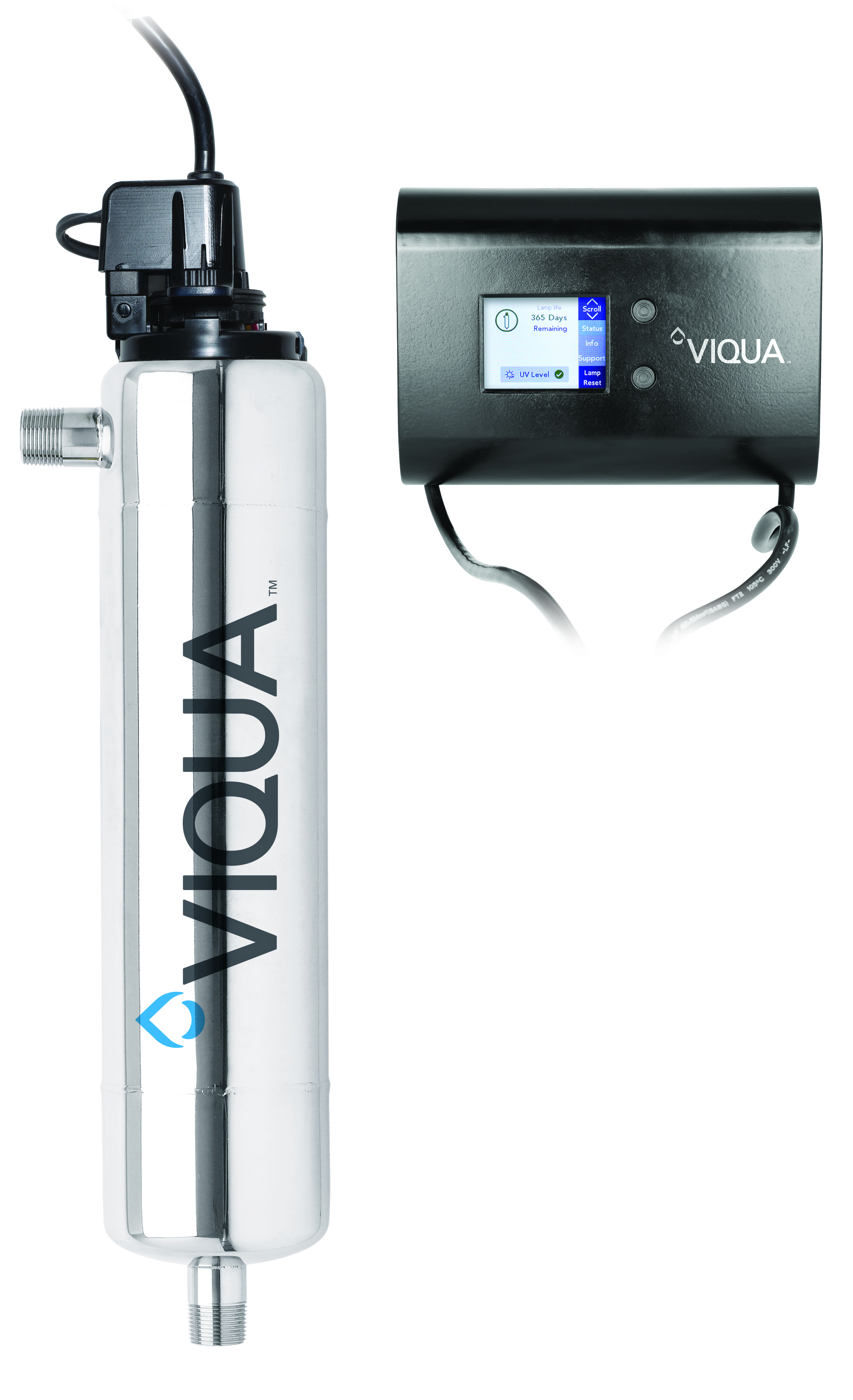D4-V